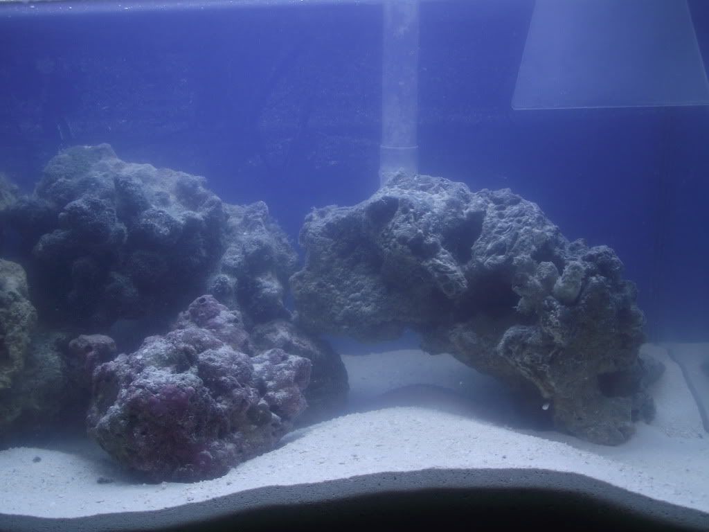 DSCF1419.jpg