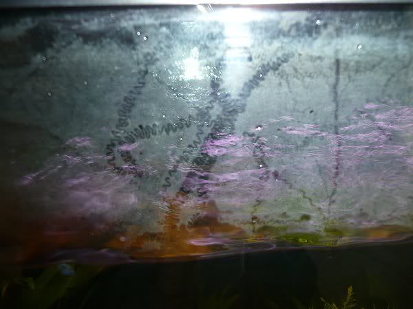 5-4-11.jpg