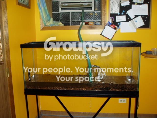 PA092712.jpg