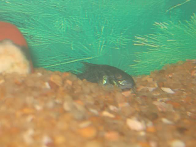 nov_08_2k5_03.jpg