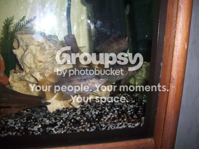 100_4283.jpg
