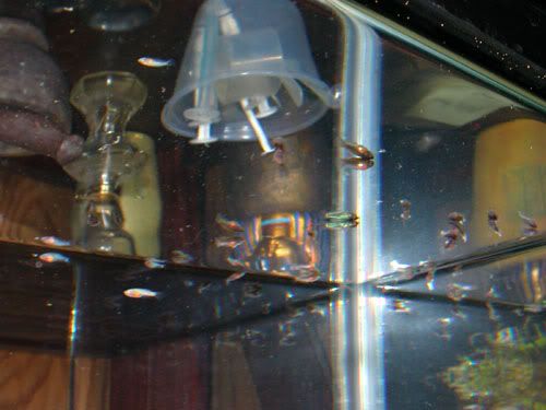 DSCN4048.jpg