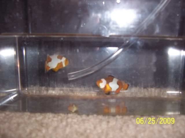 100_6898.jpg