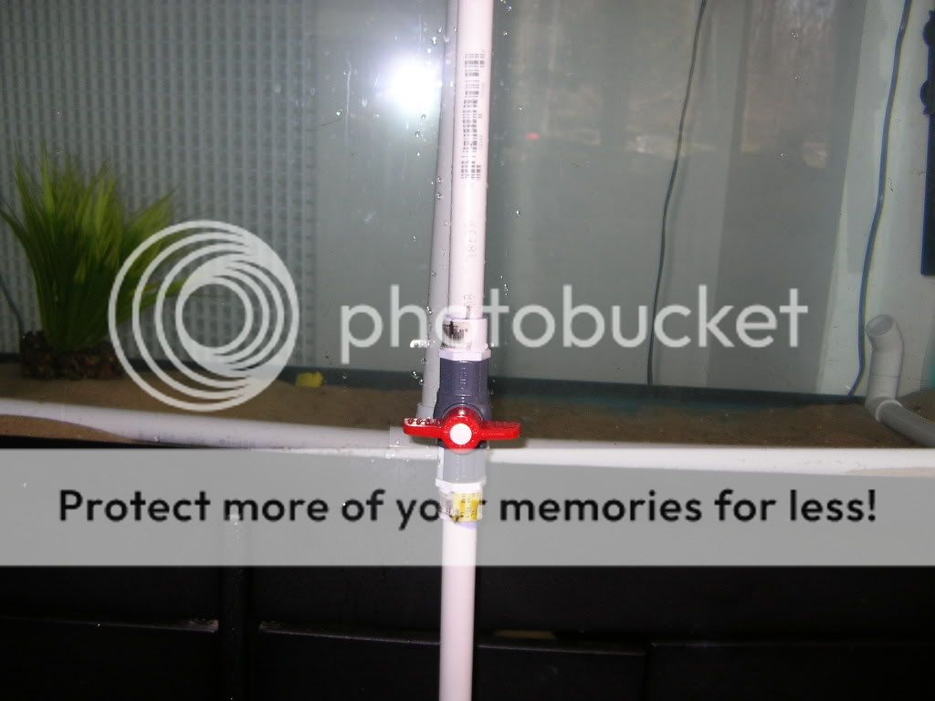 DSCN3625.jpg