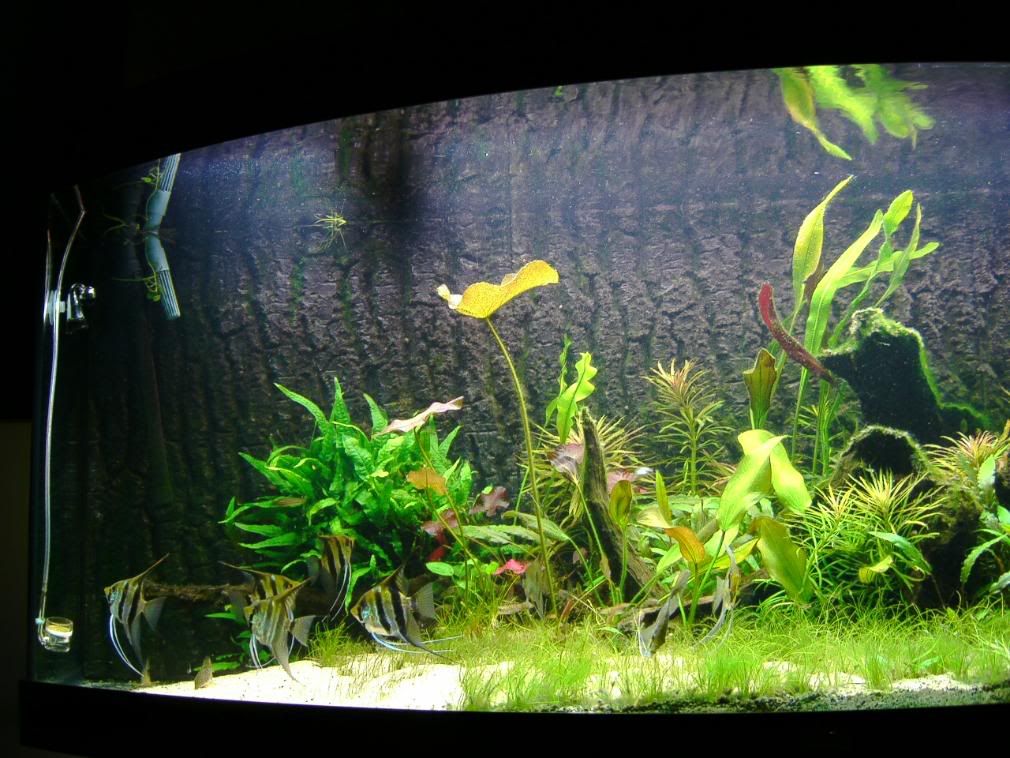 IMAG0042.jpg