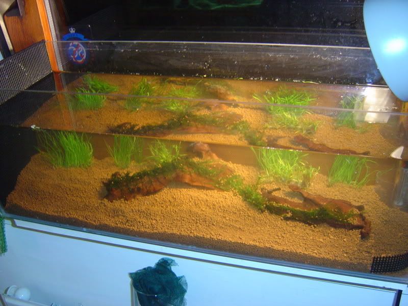 DSC02134.jpg