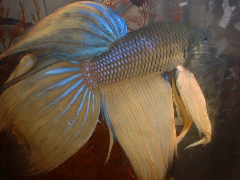 DSCF1621.jpg