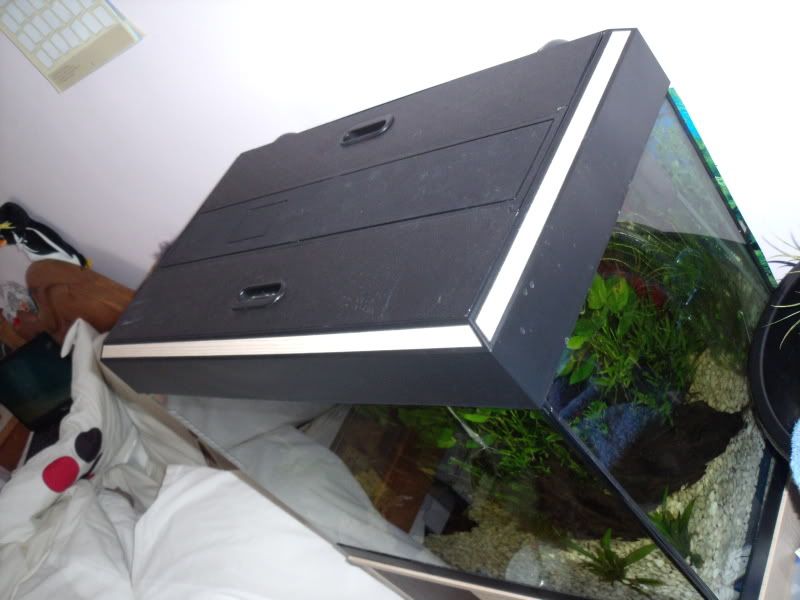 DSCF1887.jpg