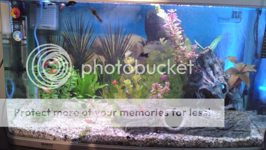 27022010025.jpg