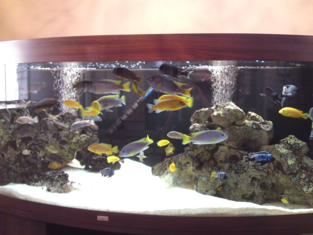 fish020.jpg