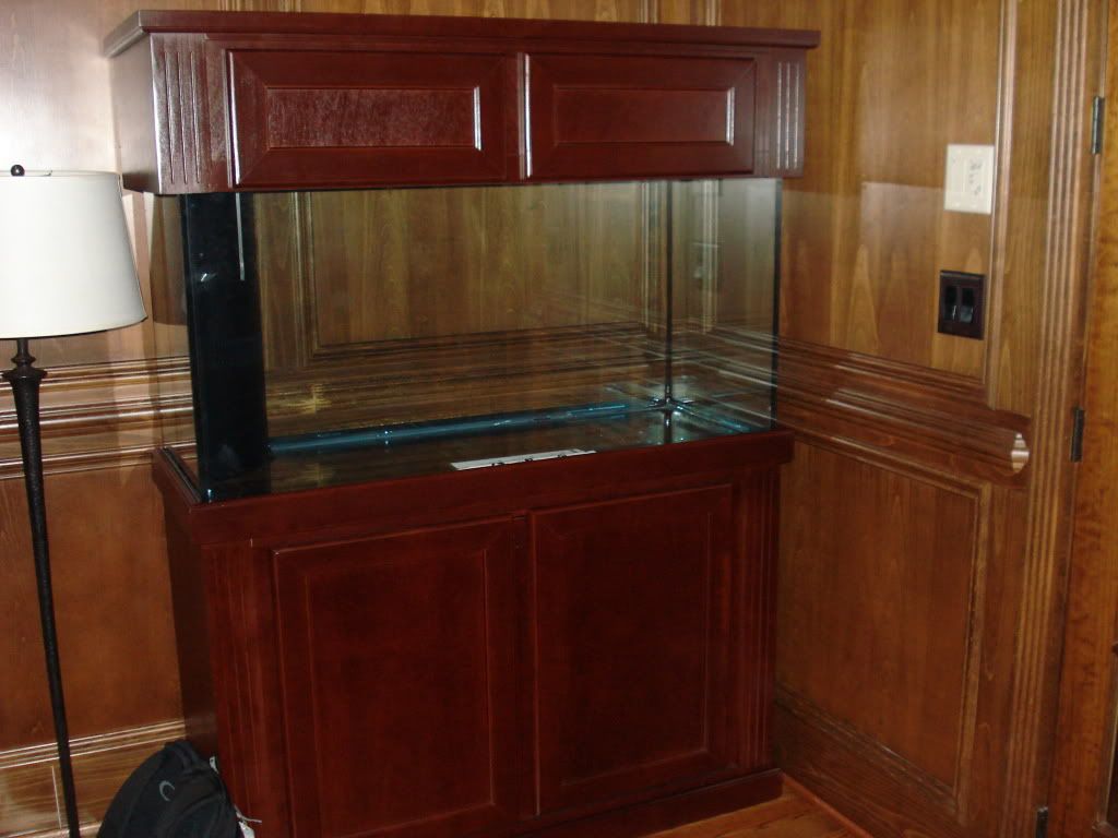 DSC02282.jpg