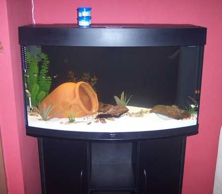 1212fishtank1.jpg