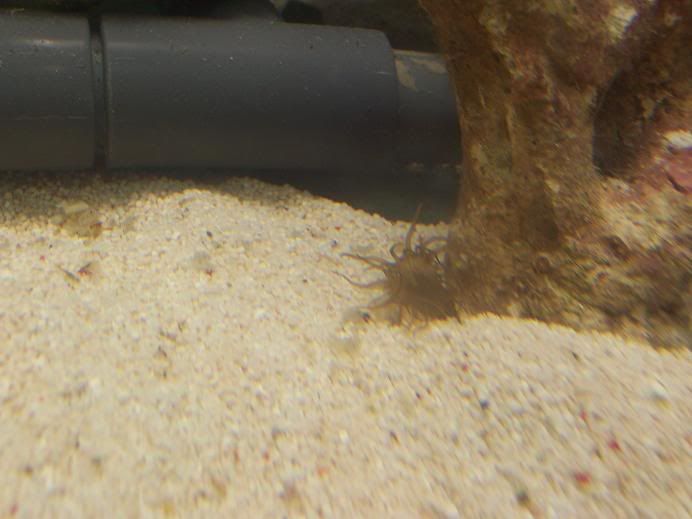 100_4017.jpg