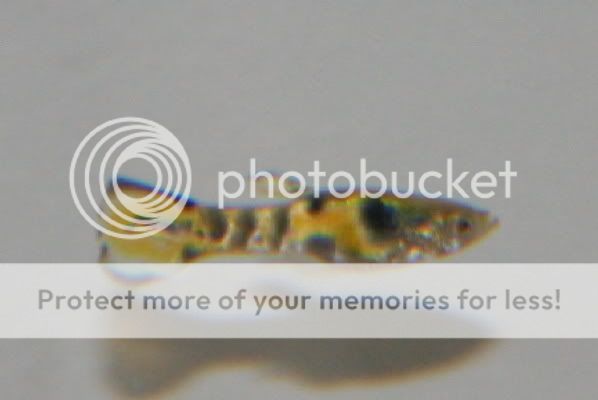 IMG_4120_1.jpg