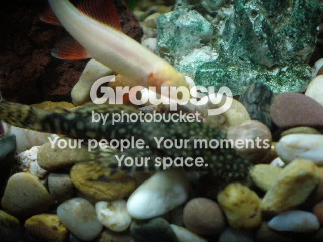 PB061210.jpg