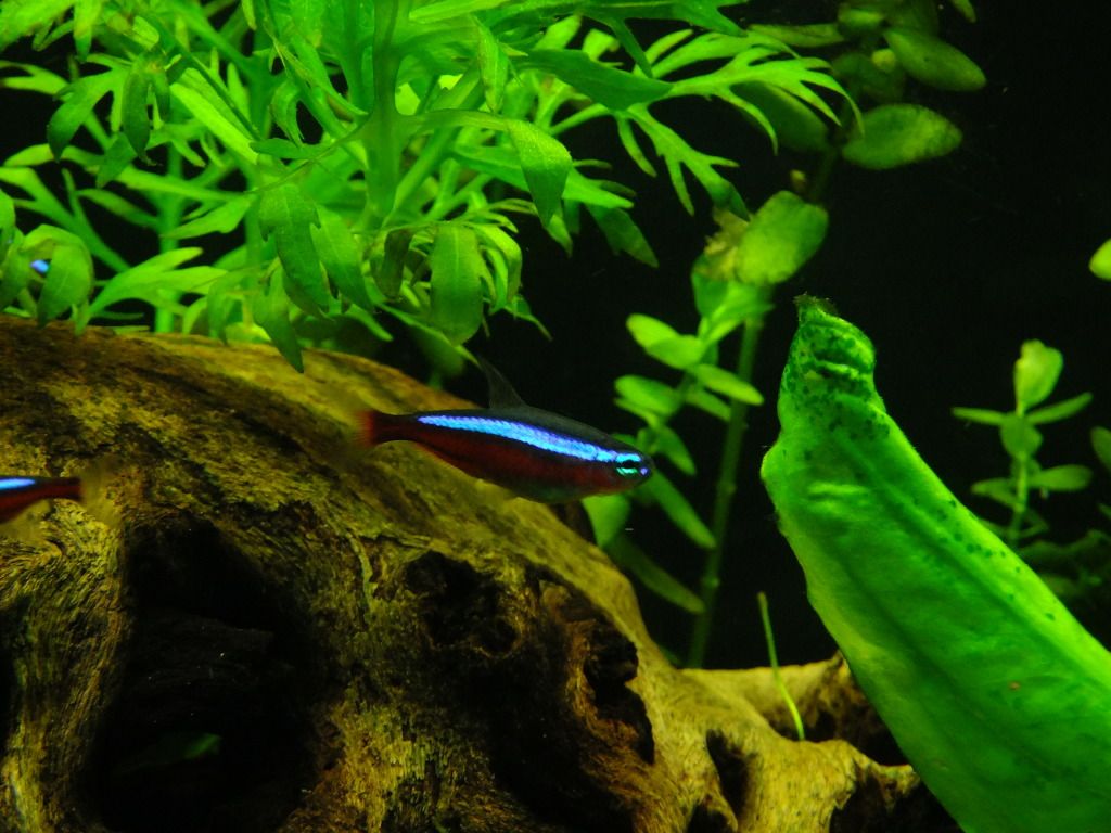 DSCF4031.jpg