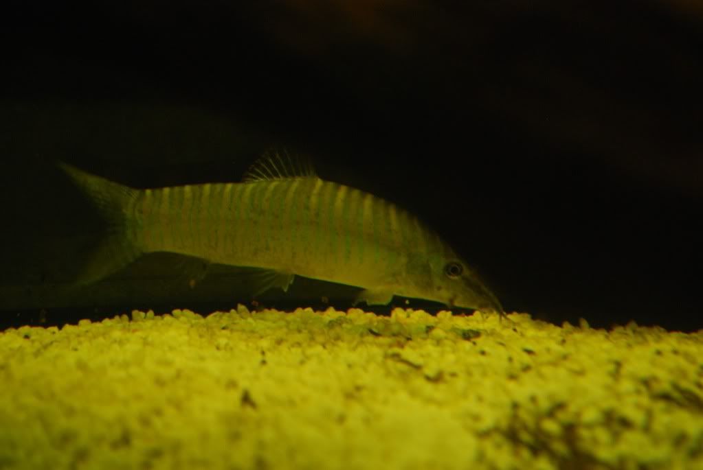 DSC_0565.jpg