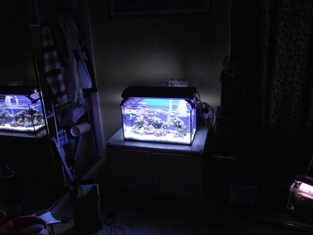 DSCF1450.jpg