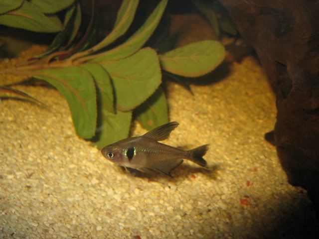 IMG_3062.jpg