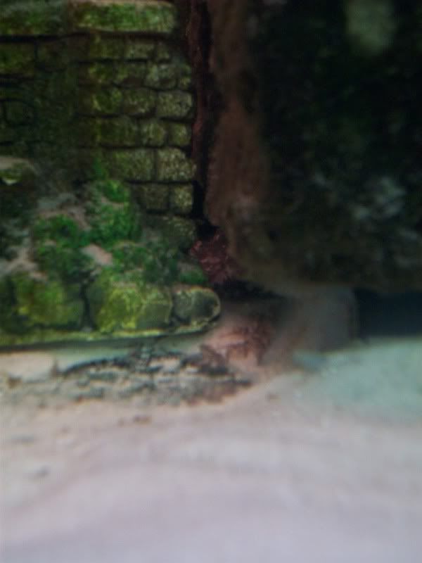 100_7861.jpg