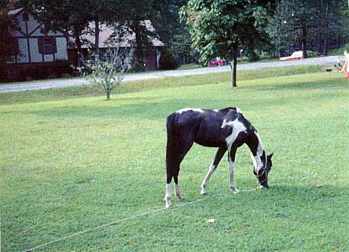 SilverSparkle001.jpg