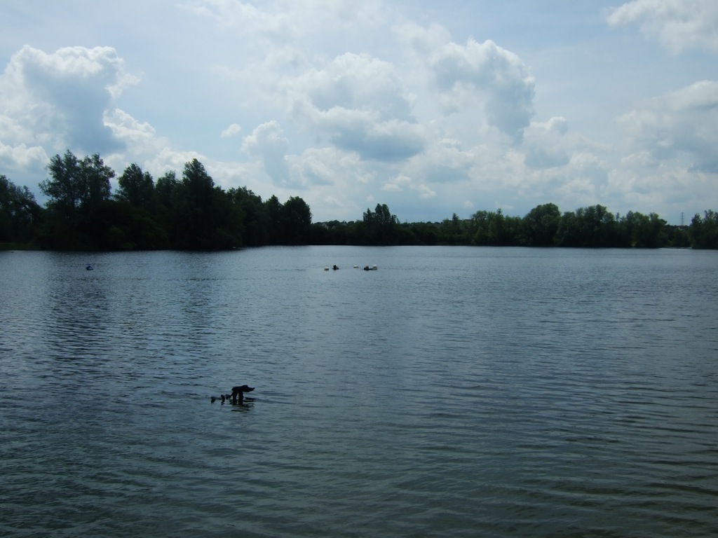 2622478430_7d32bb06c9_o.jpg