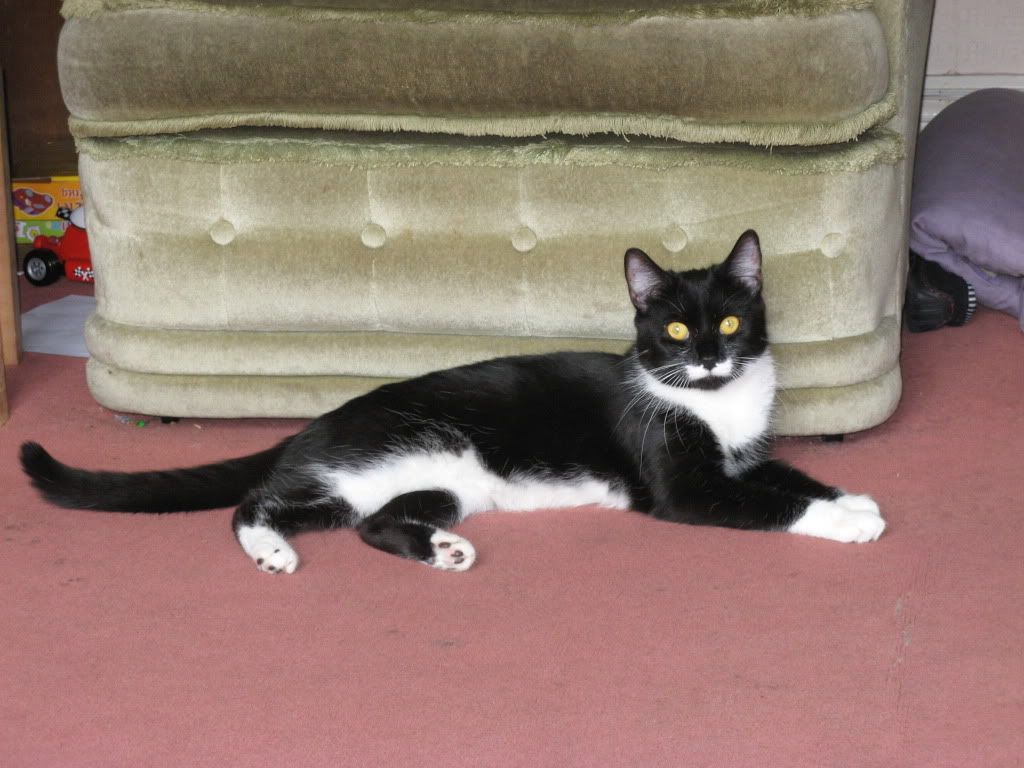 IMG_3235.jpg