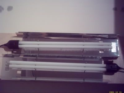 lightsnthings002.jpg