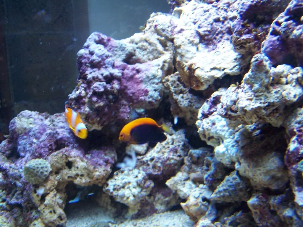 100_5040.jpg