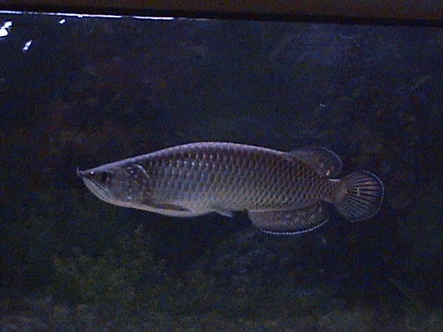 DSC00200.jpg