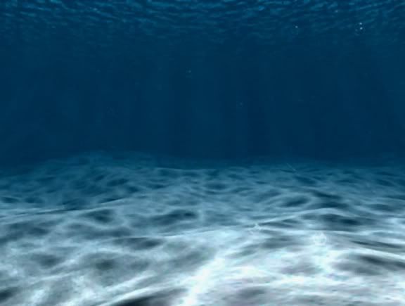 fishback1.jpg