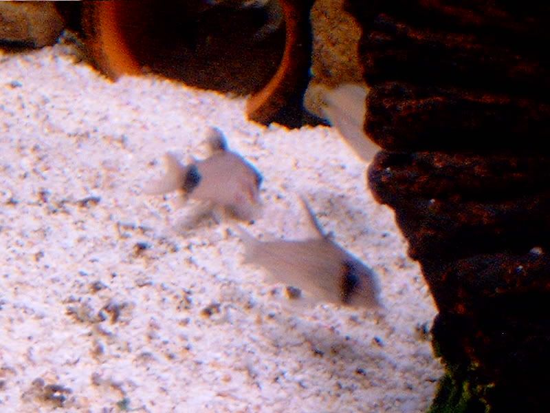 cc597ec6.jpg