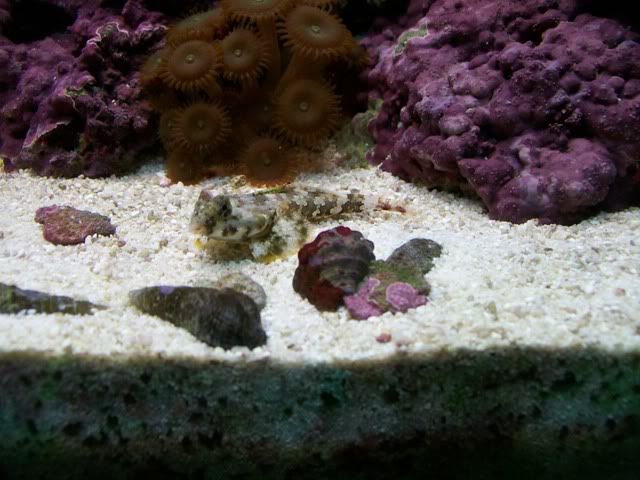 Picture013-1.jpg