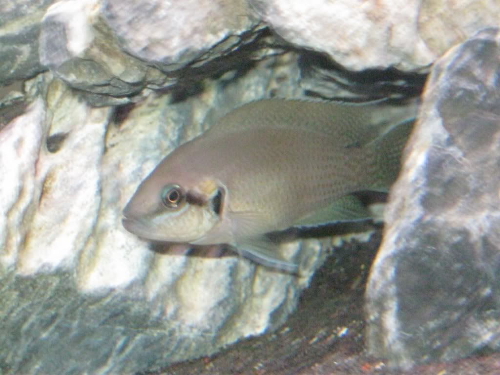 IMG_0222.jpg