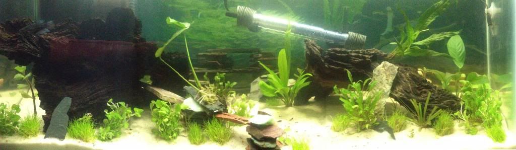 IMG_0730_zps0111e086.jpg