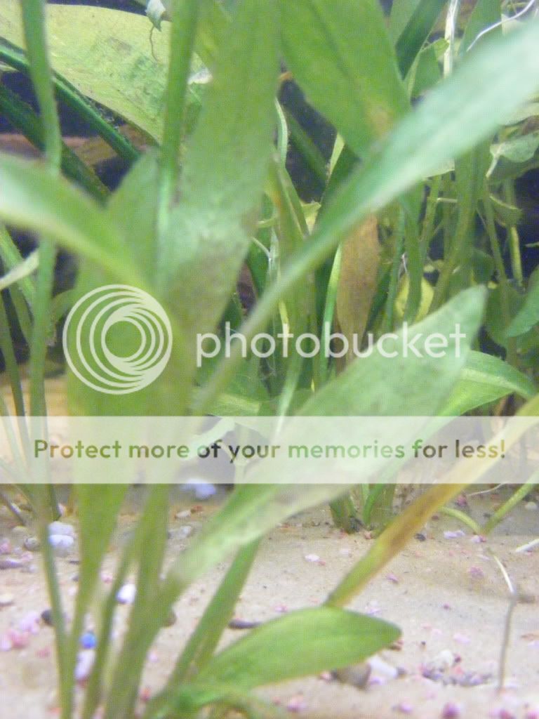 DSCF5925.jpg