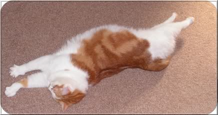 stretch.jpg