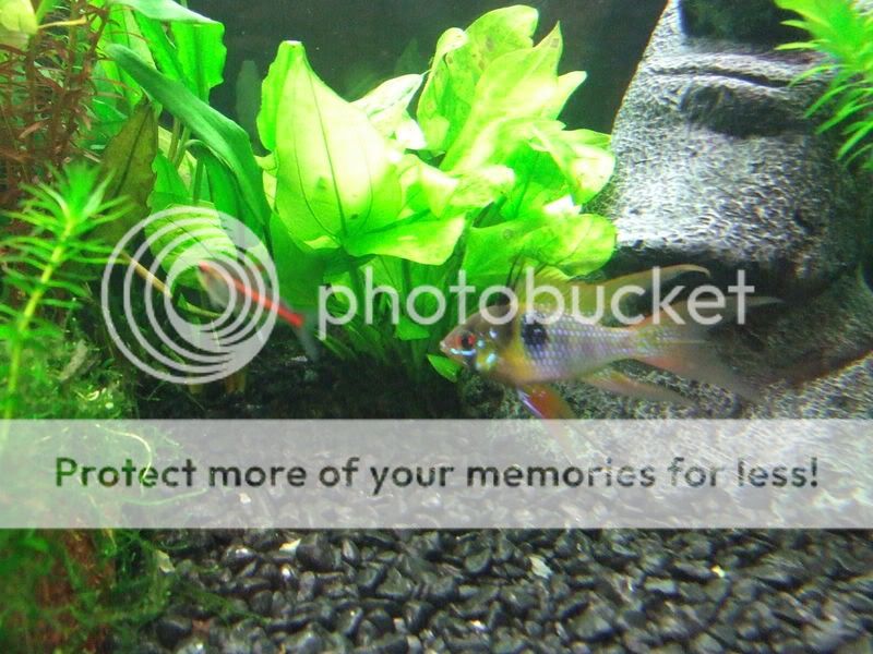 DSCF2821.jpg