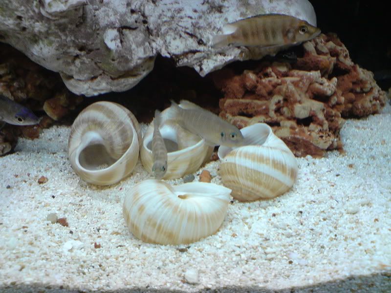 DSC01020.jpg