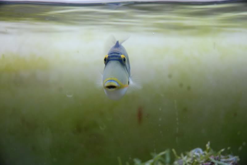 DSC_4854.jpg