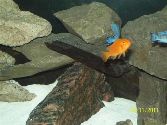 102_3679Small.jpg