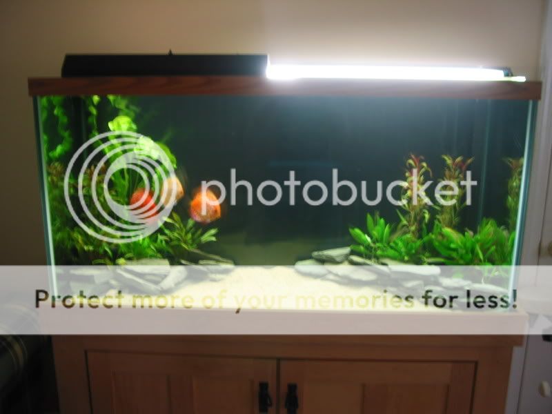 110-1002_IMG.jpg