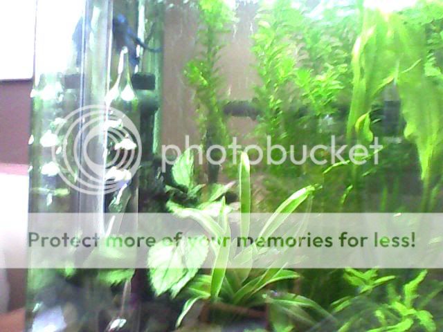Image_00059-2.jpg