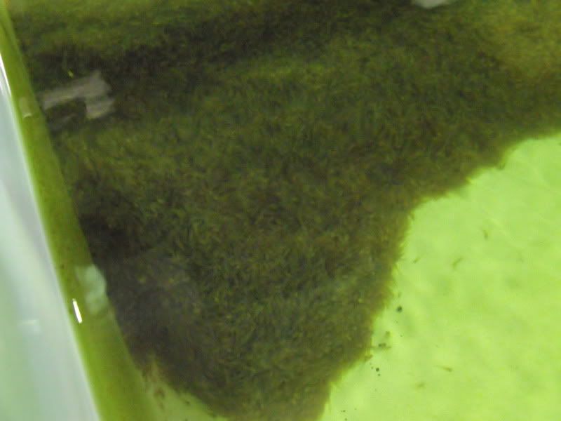 DSCF1070.jpg