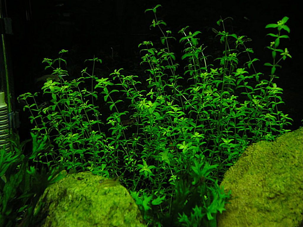 P1010014.jpg