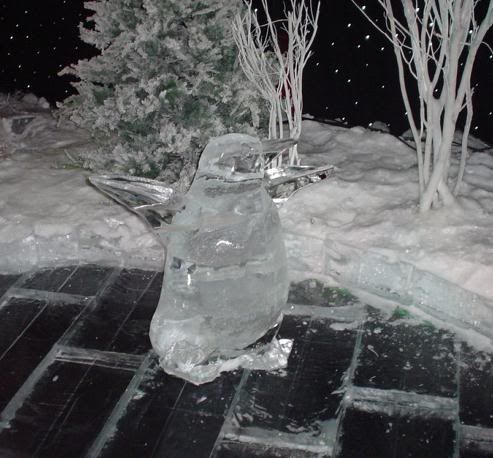 0ice19.jpg