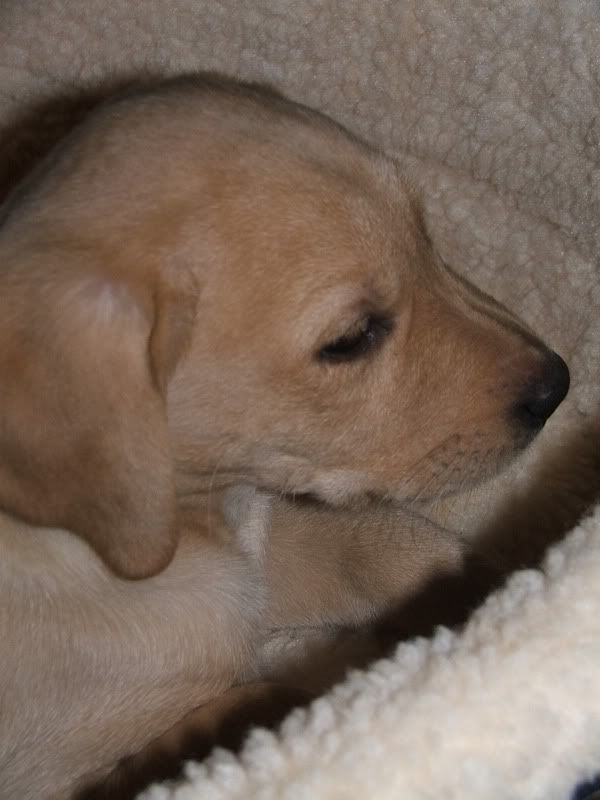 December2006029.jpg