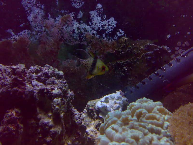 07012007100.jpg