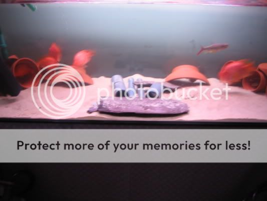 tank2.jpg