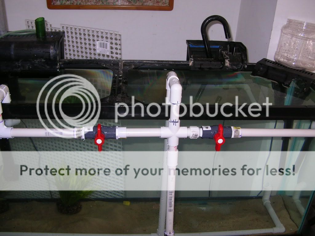 DSCN3626.jpg